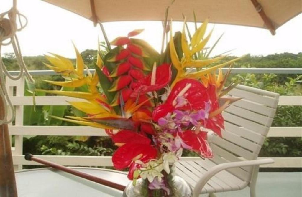 Hale-Hoola B & B Captain Cook Bilik gambar